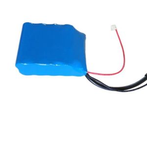 CC CV 6000mAh 12V 18650 Rechargeable Battery 2000 Cycle