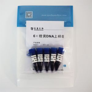 Quality 6× Gel Loading Dye Three Color DNA Electrophoresis Buffer 1mlx5 for sale