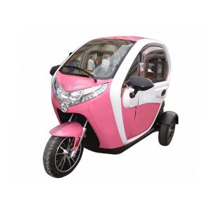 China Sightseeing 1500W RWD Enclosed Cabin Scooter on sale
