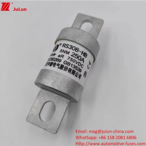 200A 250A 300A -400A Electric Vehicle Fuse Screw M8 M6 Mounting Method Terminal