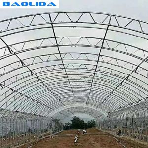 China High Load Bearing Galvanized Steel Pipe Double Arch Double Film Poly Film Greenhouse on sale