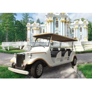 Sightseeing Classic Car Golf Carts 6 Seater
