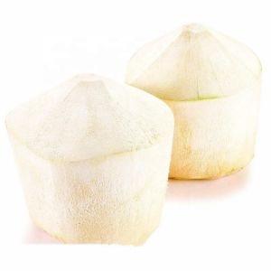 Automatically Green Coconut Peel Cutting Machine 0.8KW 2years Warranty