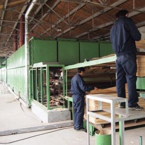 Decoration Artificial Wood Veneer White Oak Flat Cut H8252C Light Yellow Color