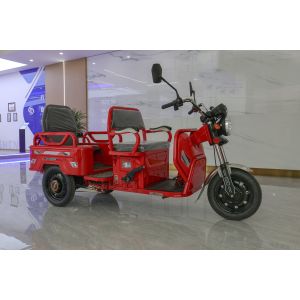800w Passenger Electric Tricycle With Back Seat Foldable Safety Guardrail