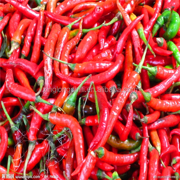 Buy Raw Processing Type Hot Nutritional Value High In Vitamin C And Antioxidants at wholesale prices