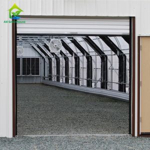 4m-7m High Tunnel Automated Blackout Greenhouse For Agriculture