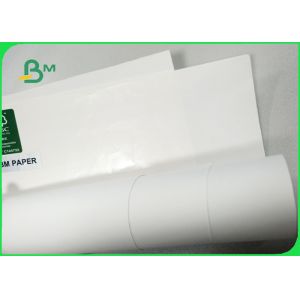 Width 100 × 70cm No Fluorescent Additives 300gr PE Coated Wood Pulp Paper Of