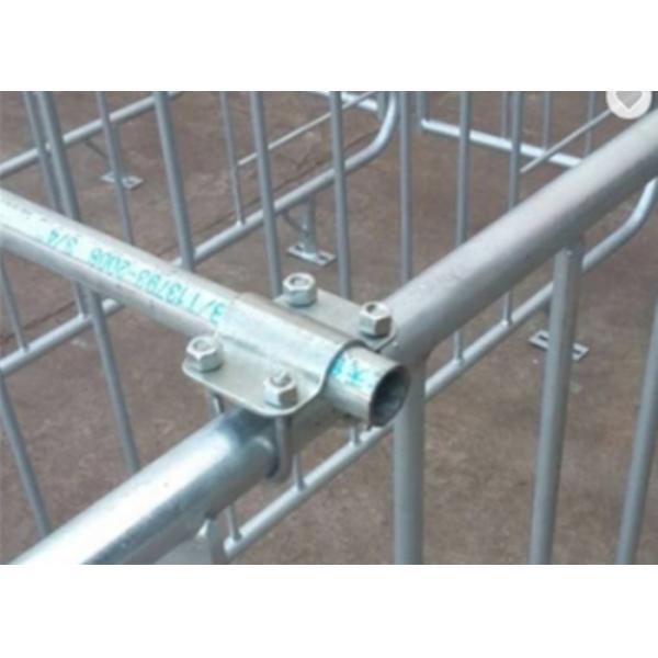 Hot Dip Galvanizing Hog Gestation Crates Customized Pif Farm Stall With