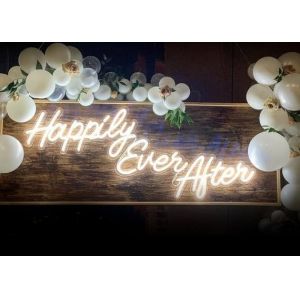 12V Advertising Neon Flex Sign Diy