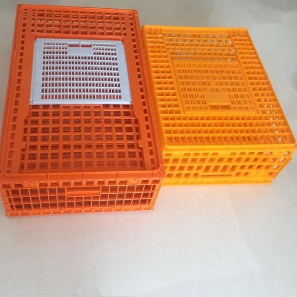 Buy Plastic baskets for poultry turnover（Red ，Orange，yellow ） at wholesale prices