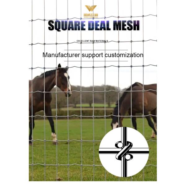 Heavy Duty Galvanized Horse Mesh Fence 3ft-8ft Height S Knot Corrosion Resistance