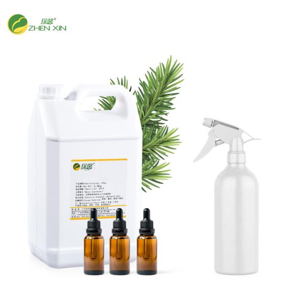 Buy Long Lasting Fresh Fragrance Air Freshener Fragrance Oil And Diffuser at wholesale prices