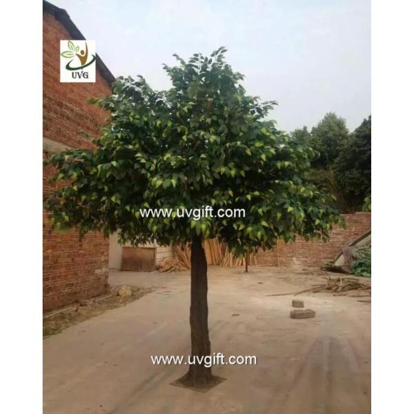 UVG GRE045 ornamental green banyan tree artificial outdoor trees for office decoration