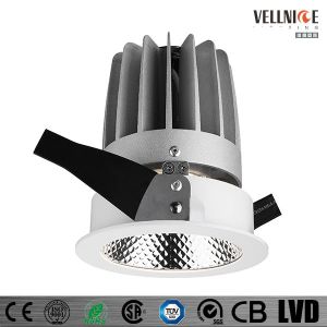 30W High Quality Fixed Led Downlight With 24 / 36 / 60 Degree Beam Angles