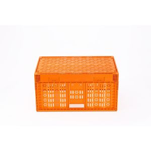 Fresh Vegetable Turnover Basket Folding Plastic Container with Collapsible Mesh