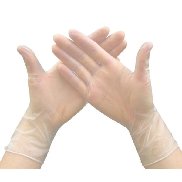 Buy Clear Transparent Disposable Non Latex Gloves Protective Powder Free Examination at wholesale prices