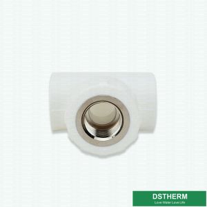 Available Technics White Ppr Pipe Accessories Fittings Female Threaded Tee Size