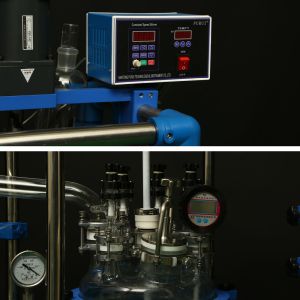 304 Stainless Steel Glass Reactor Thermostat Stirring Rod