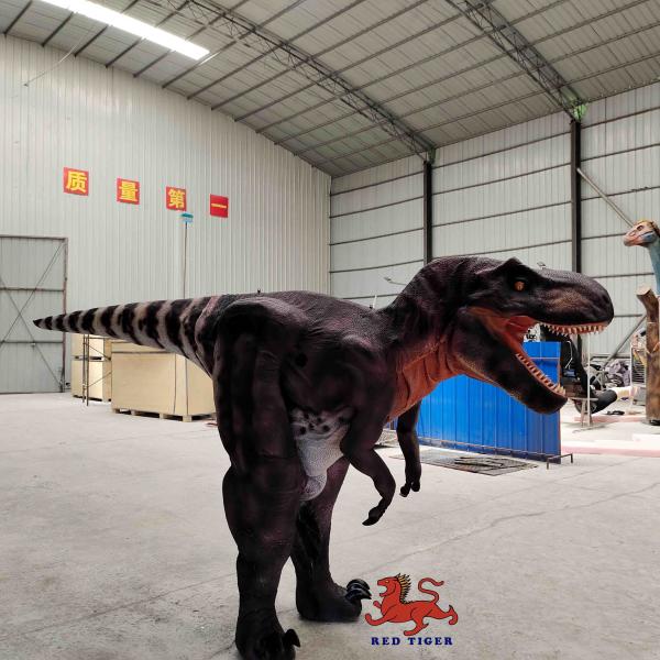 Buy Customized Real Life T Rex Costume , Indoor Tyrannosaurus Suit at wholesale prices