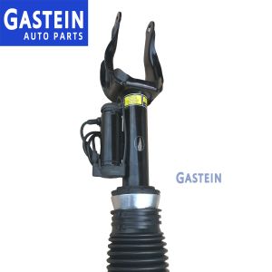 1663201313 1663201413 Mercedes Benz Air Suspension Parts Gas Filled Shock