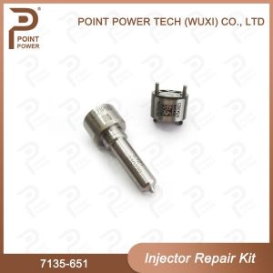 7135-651 Delphi Injector Repair Kit For Injector R02201Z Nozzle-CVA Kit With
