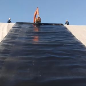 Buy cheap Length 50-200m Geomembrane for Fish Ponds Smooth and Durable 1mm 2mm Thickness from wholesalers