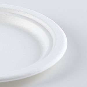 Biodegradable Food friendly fully Bagasse 6.75 inch Round Plates