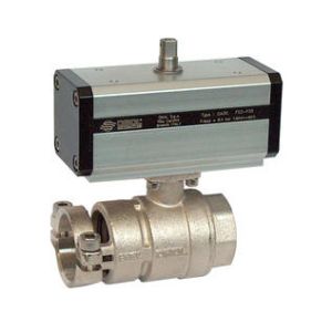 China Full Bore Ball Valve with Quick Coupling for Zootechnical Use on sale