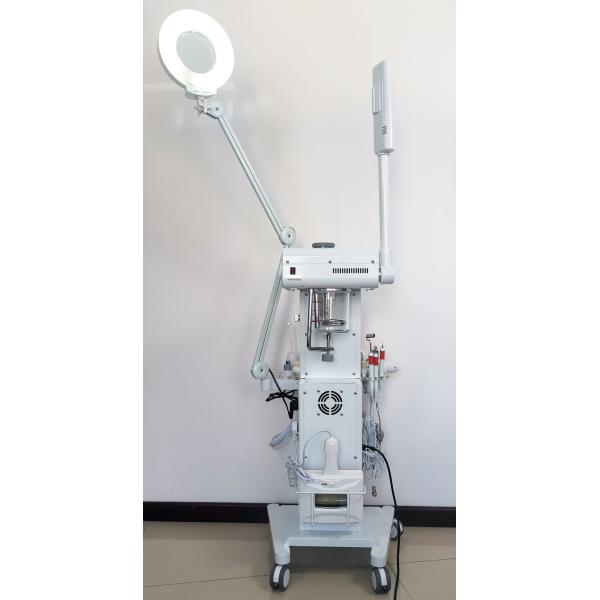 Multifunctional Facial Beauty Steamer Machine 14 In 1 For Face Lifting