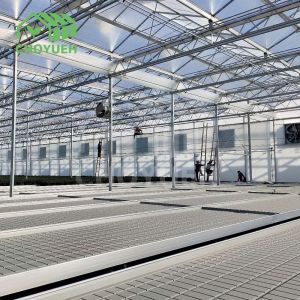 Glasshouse Greenhouse Benches Weight Capacity 200kgs OEM ODM