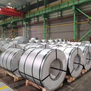 Aluminum Alloy 3003 Curtain Wall Decorative Plate (2.3mm/1800mm) with Fluorocarb