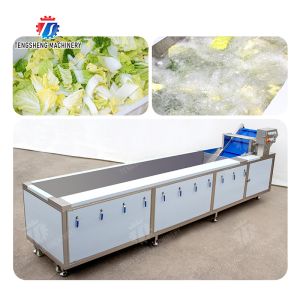 Quality Vegetables Leaves Vegetables Onions Leafy vegetables Cabbage varieties Herbs Fruiting vegetables bubble washing machine for sale