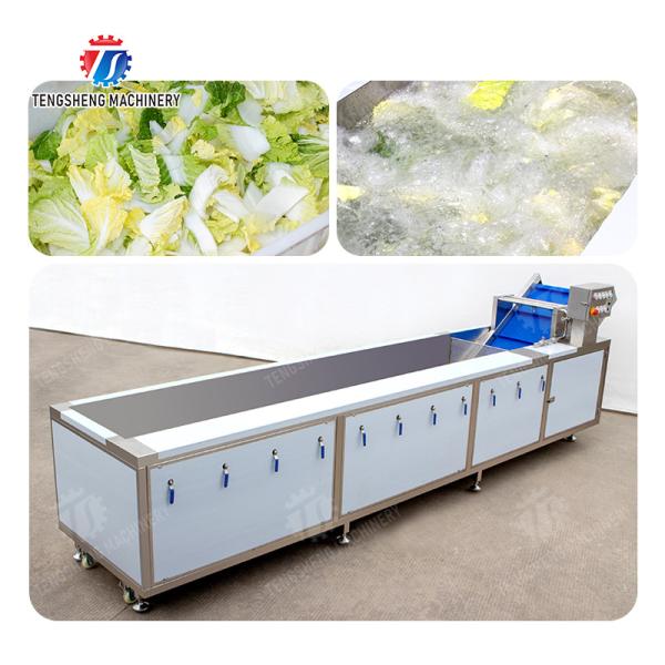 Vegetables Leaves Vegetables Onions Leafy vegetables Cabbage varieties Herbs