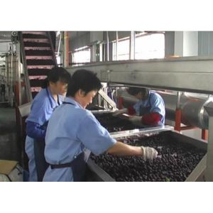 Blueberry Fruit Canning Machine , Fruit  Processing Industrial Canning Machine 