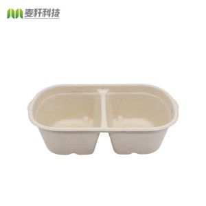 Disposable Biodegradable Sugarcane Bagasse Takeaway Lunch Food Tray with Lid