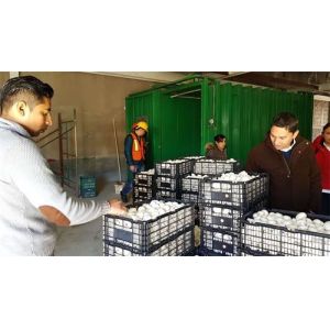 380V Agricultural Farming Vacuum Precooling Chamber For Vegetables Lettuce