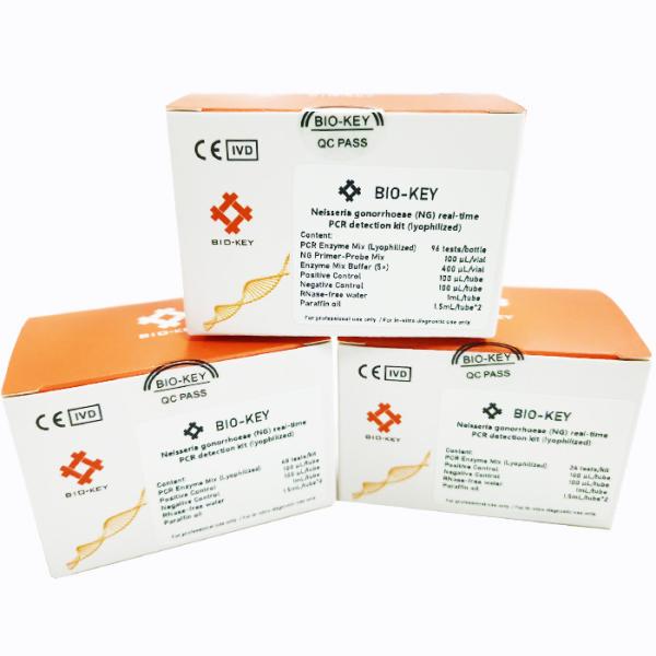 Buy Lyophilized Neisseria Gonorrhoeae NG Real Time PCR Detection Kit 96 Tests/Kit at wholesale prices