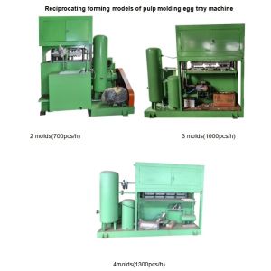 Waste Paper Pulp Molding Machine Egg Tray / Apple Tray / Egg Carton Making Machine Low Noise With 1 Year Warranty