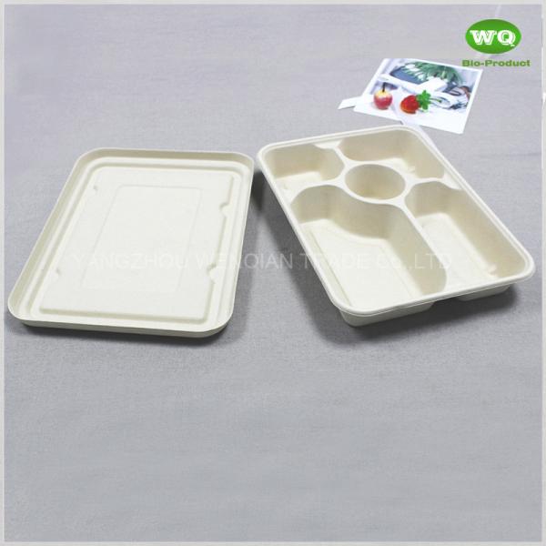 5-Coms Biodegradable Rectangle Tray With Lid-Bagasse Sugarcane Fiber Tableware