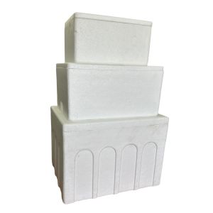 Heat preservation cold chain transport foam box