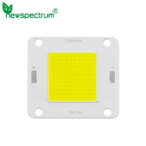 DC Inverted Integrated COB LED Module 20W 30W High Power LED