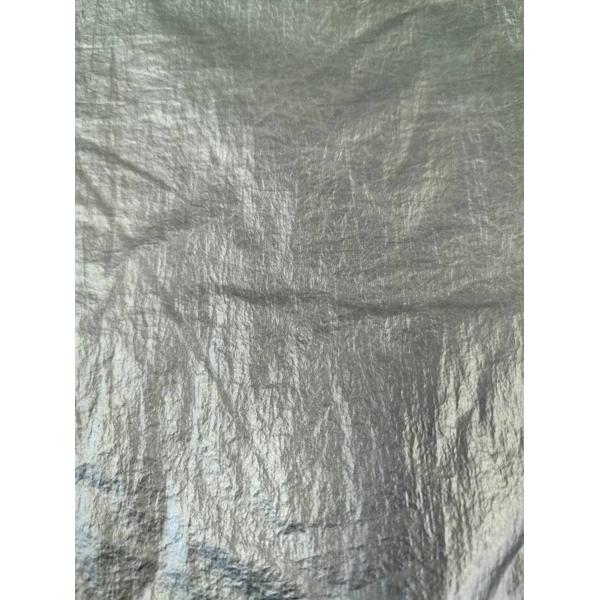 20D*20D 100%N 40GSM Nylon fabric