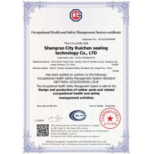 SHANGRAO RUICHEN SEALING CO.,LTD Certifications