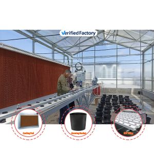 Galvanized Steel Tunnel Greenhouse 2.6-3.5m Height with 200 Micron Film