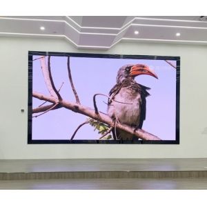Quality 640*640mm 640*480mm Indoor LED Screen Display Panel 1600cd/Sqm Brightness for sale