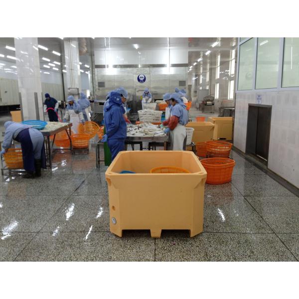 600L Roto Molded Cooler Box , Durability Fishingice Chest That Keeps Ice For Days