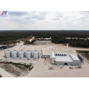 Galvanized Steel Piggery Shed Construction Steel Structure Chicken Shed