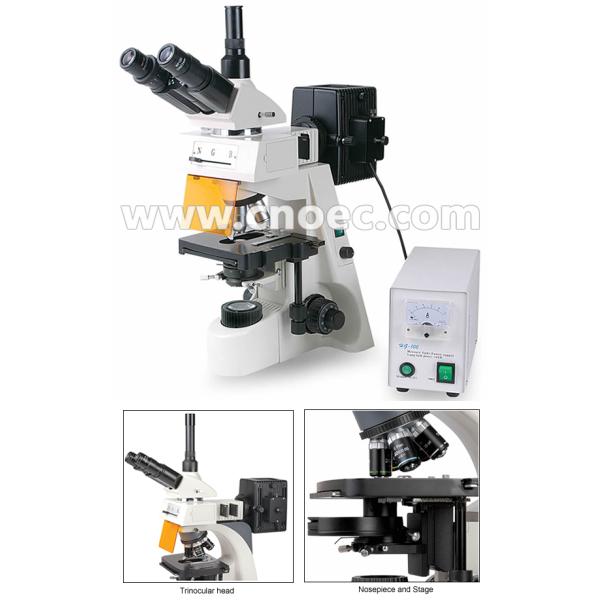 Fluorescent Microscope Trinocular Head 40 - 1000X with CE A16.1103