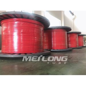 10000Psi Encapsulated Control Line Duplex 2507 FEP